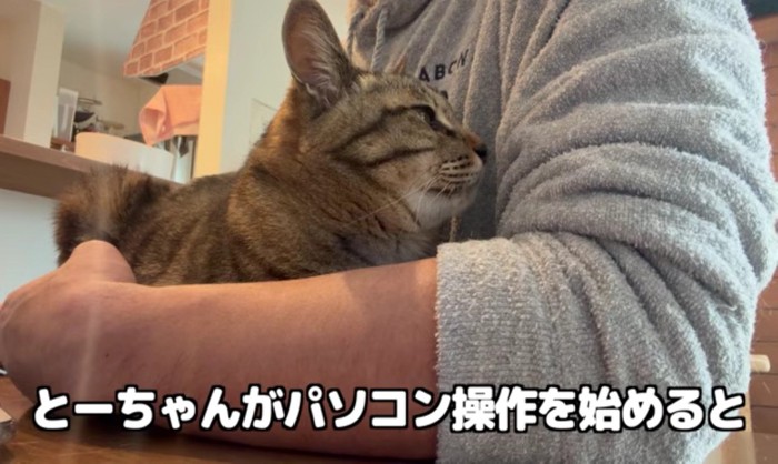 とーちゃんの腕に収まる百太さん