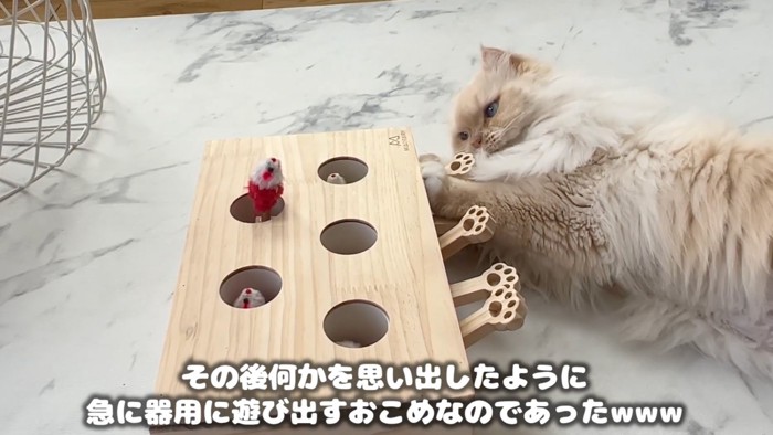 レバーを押す猫