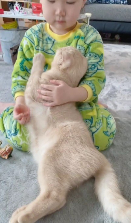 猫を抱きしめる女の子