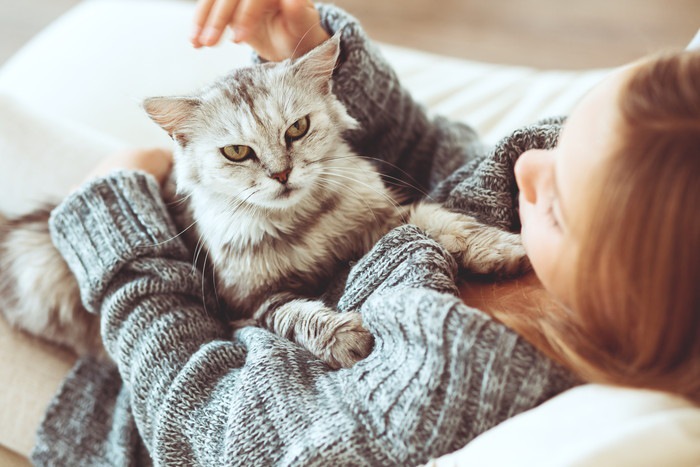 飼い主に抱かれている猫