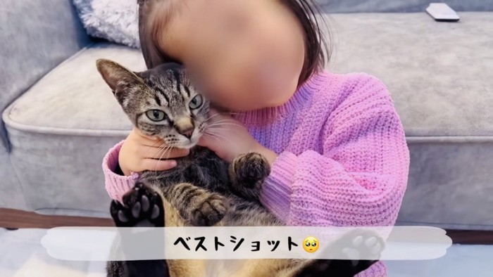 女の子に抱っこされるキジトラ猫