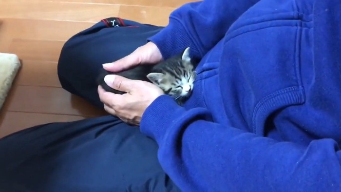 手の中