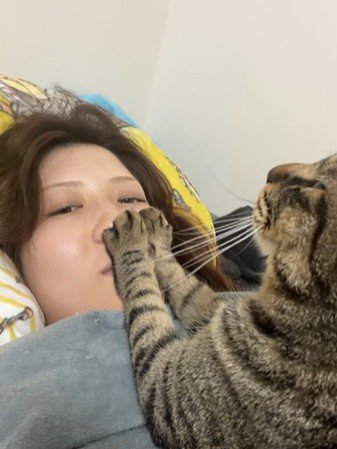 飼い主の口をふさぐ猫