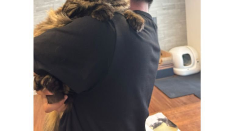 男性に抱かれる猫