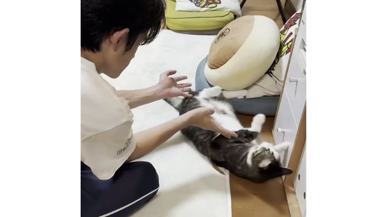 猫と男性