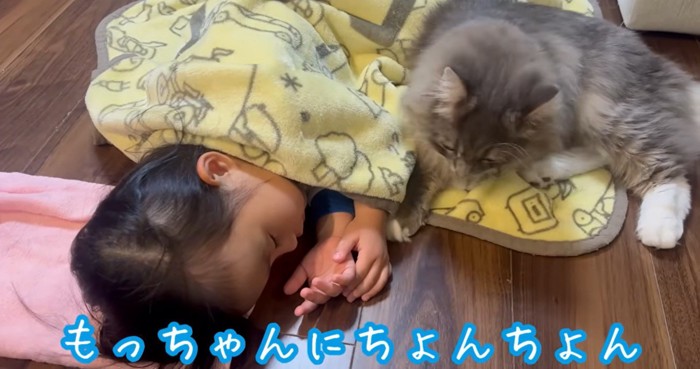 寝ている子どもと猫