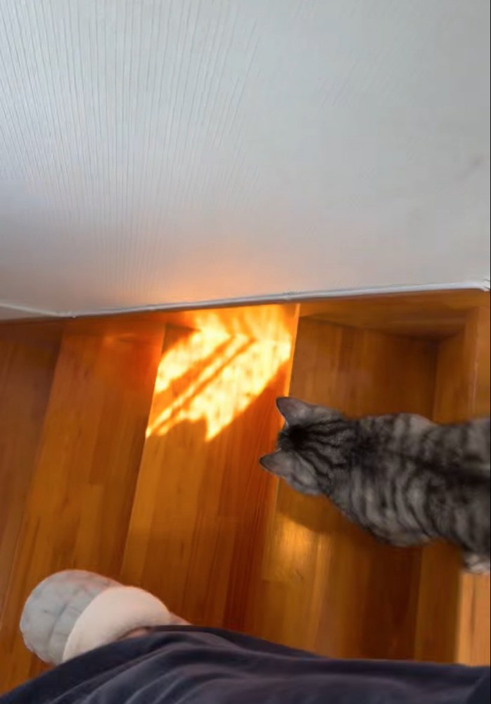 一緒に階段を降りる