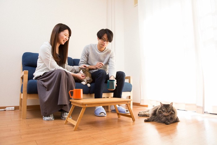 フローリングの部屋で過ごす夫婦と猫