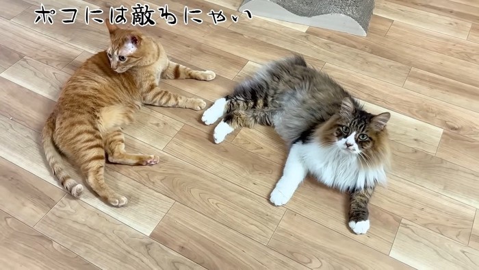 くつろぐふたり