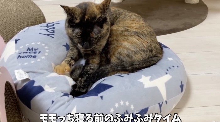 モモちゃんのふみふみタイム