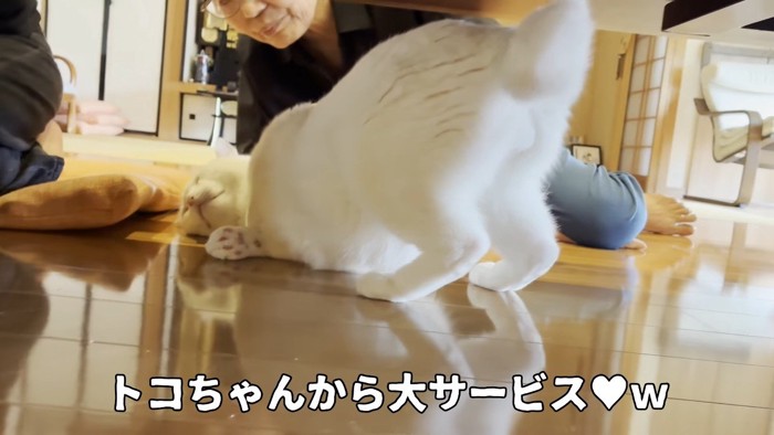 大サービス