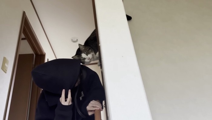 ためらうおでこちゃん