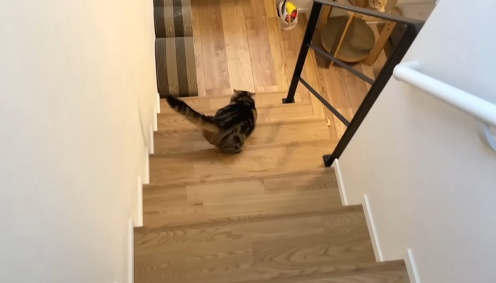 階段を駆け下りて
