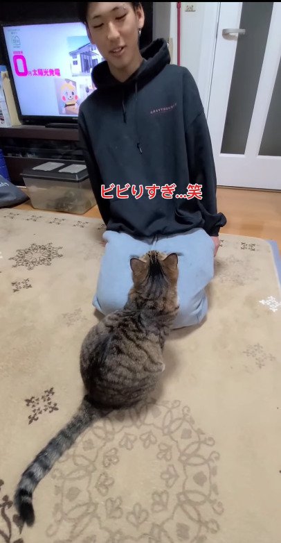 猫の勢いにビビる次男さん