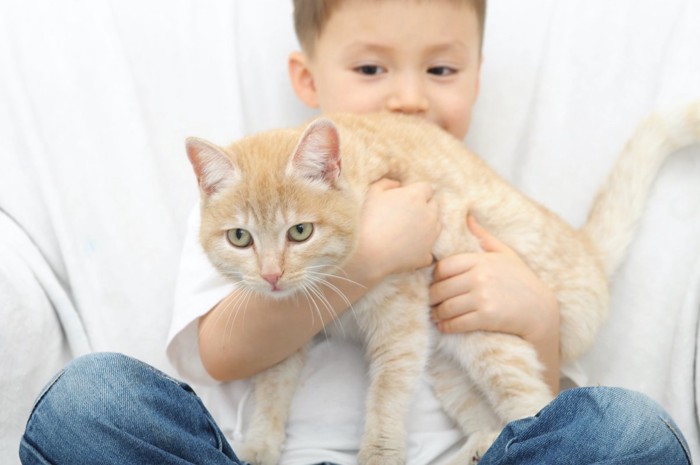 抱っこされる猫