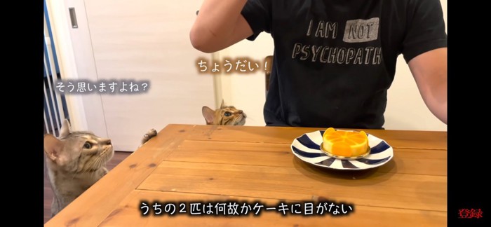 ケーキに目がない