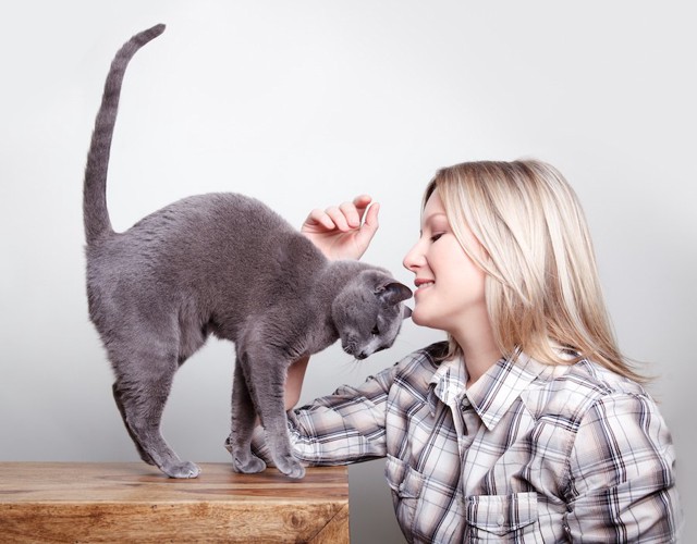 尻尾を立てて女性に近づく猫