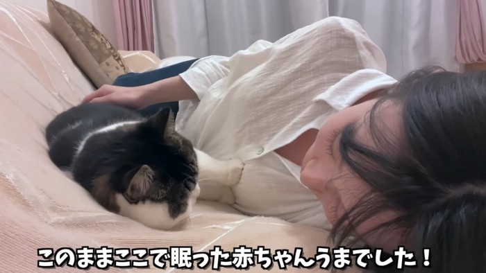 人と寝る猫