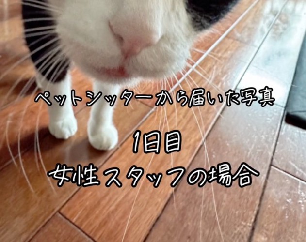 1日目