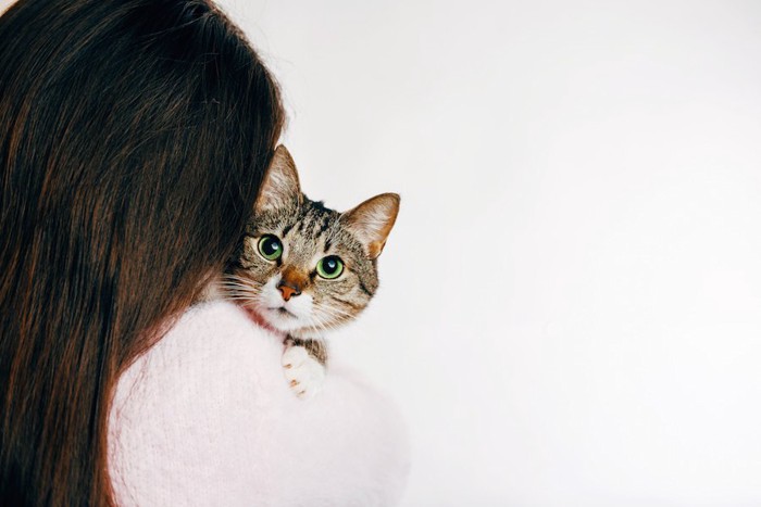 女性に抱かれている猫