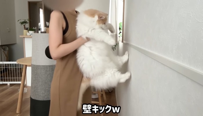 壁キック