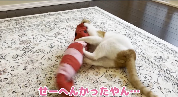 ケリぐるみで遊ぶ猫