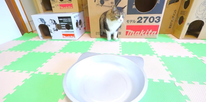 猫の顔の形をしたアルミベッドと長毛猫