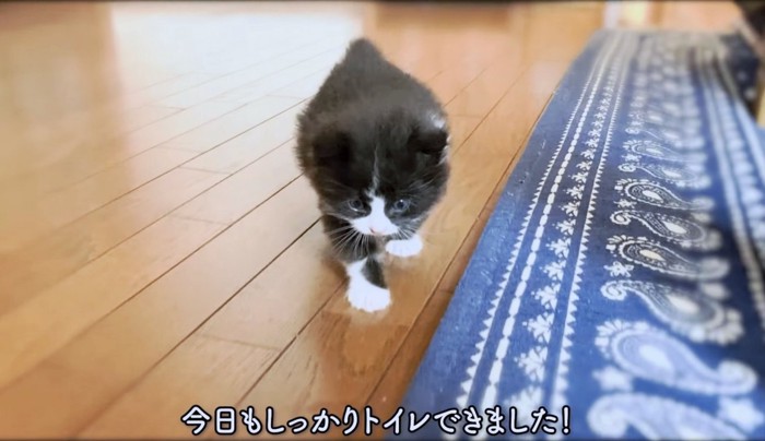 飼い主さんに報告しに行こう！