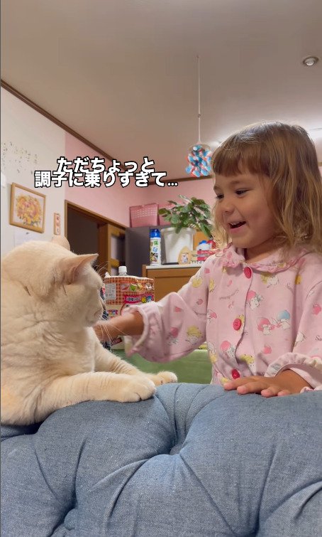 猫にちょっかいをかける女の子