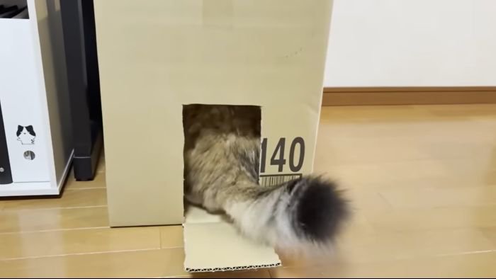 スムーズな入城
