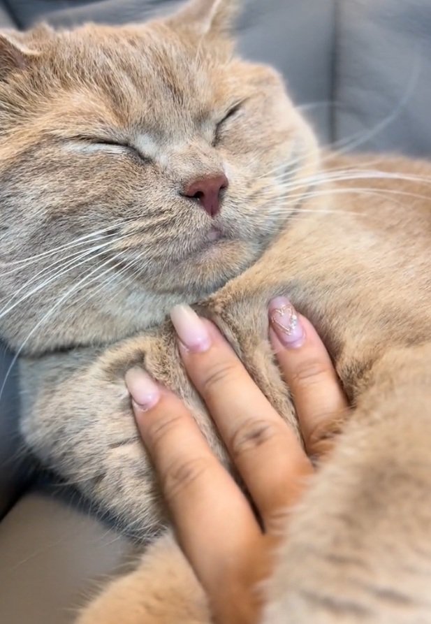 眠る桐くん