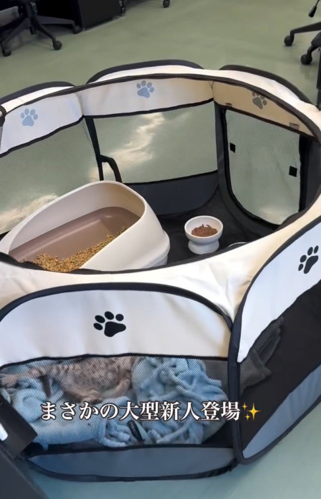 サークルを覗き込む