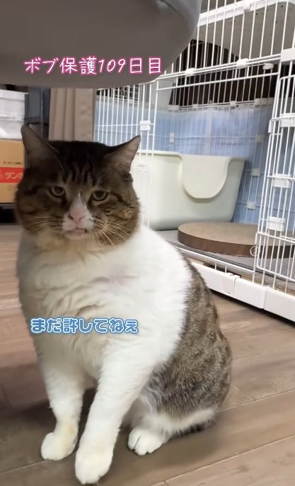 不満顔