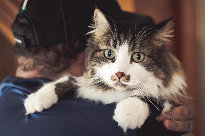 飼い主に抱きかかえられているラガマフィン