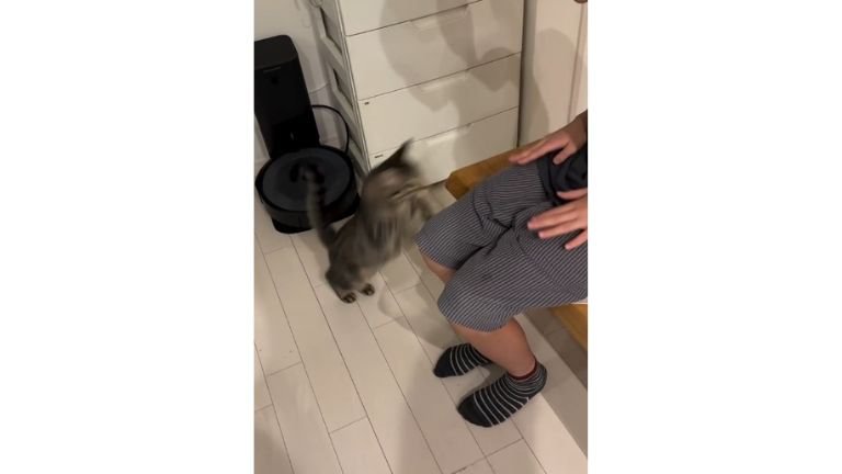 猫と椅子に座る女性