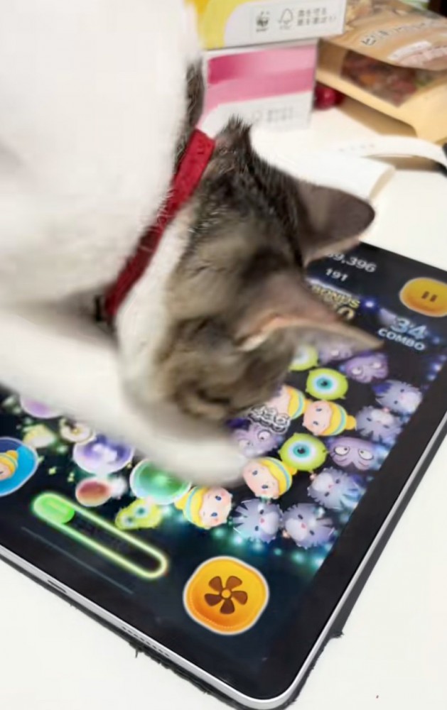顔を近づける