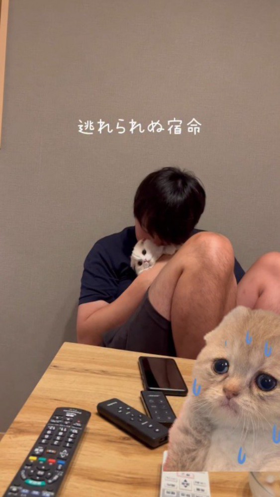 座った体勢で猫を抱きしめる男性