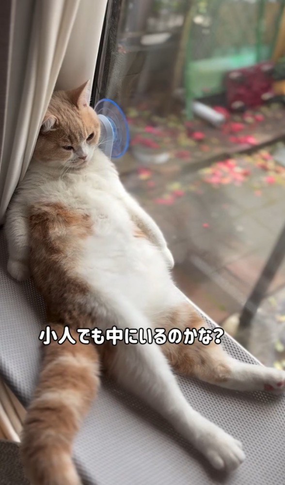 「小人でも～」と書かれた写真