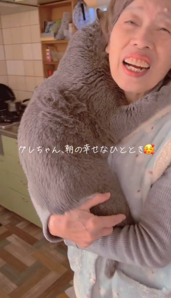 女性に抱き着く猫