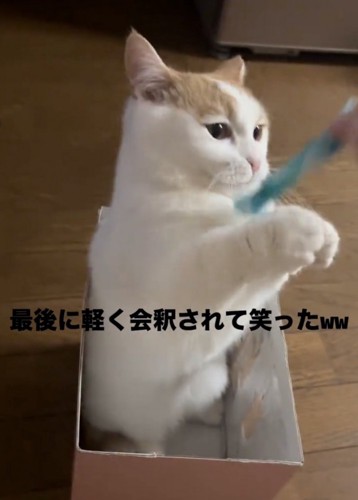 おもちゃを掴む