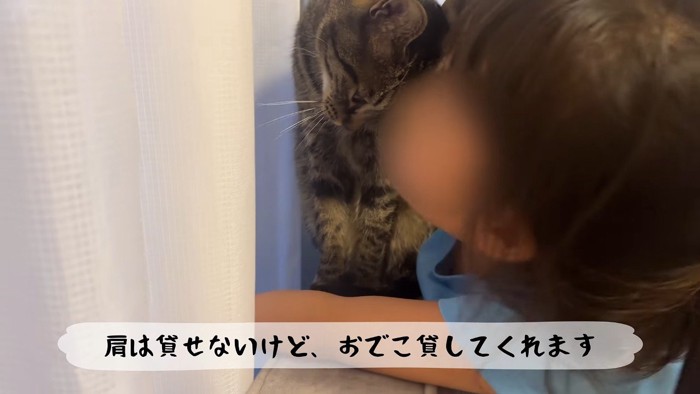 おでこ貸してくれます