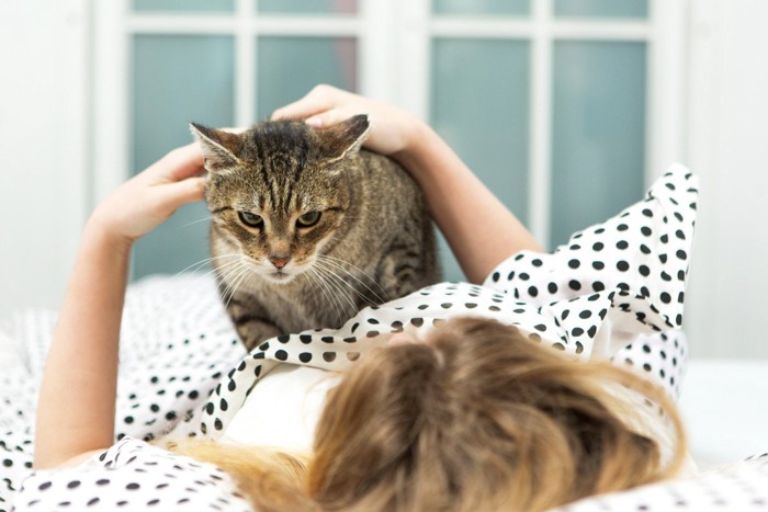 寝ている飼い主を様子見する猫