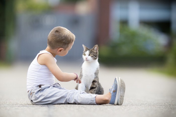 猫に話しかける少年