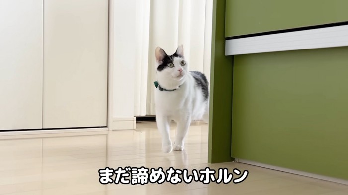うたがうホルンくん