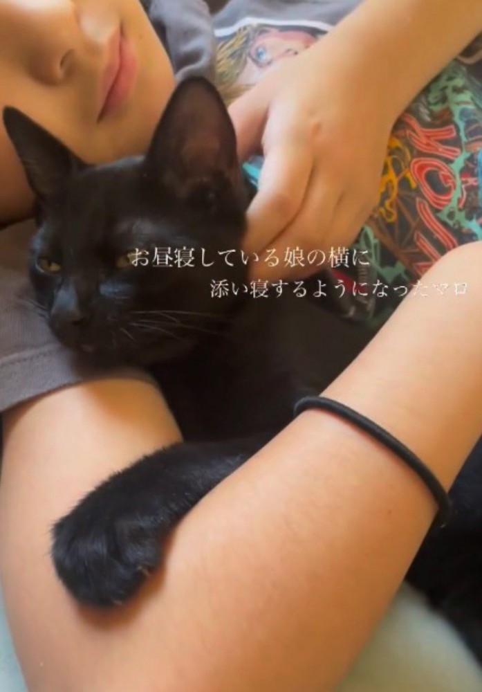 女の子にアゴを撫でられる黒猫