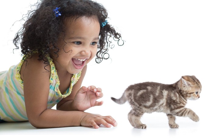 子猫と子ども