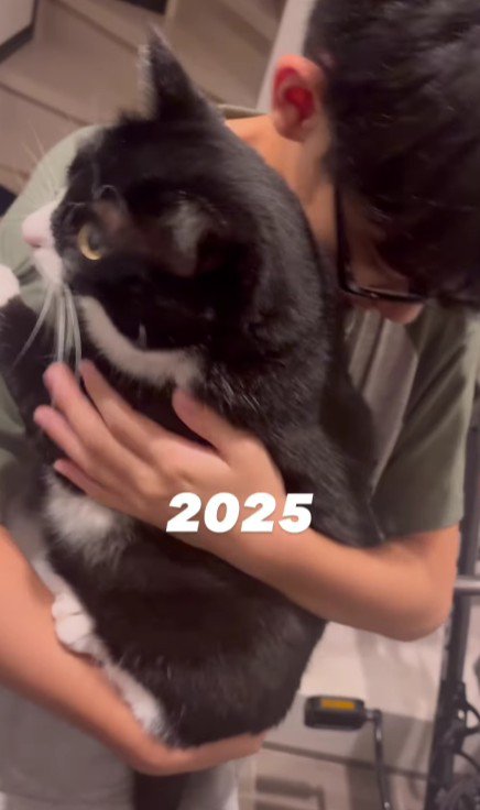 猫を抱っこしている男の子