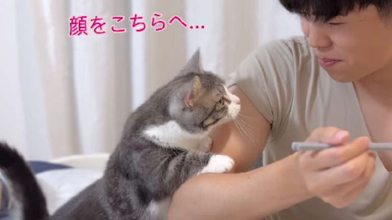 男性の腕に手を乗せている猫