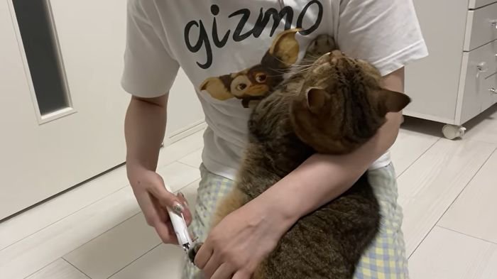 飼い主さんとの攻防戦