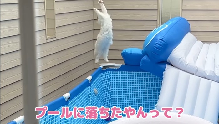 大ジャンプ